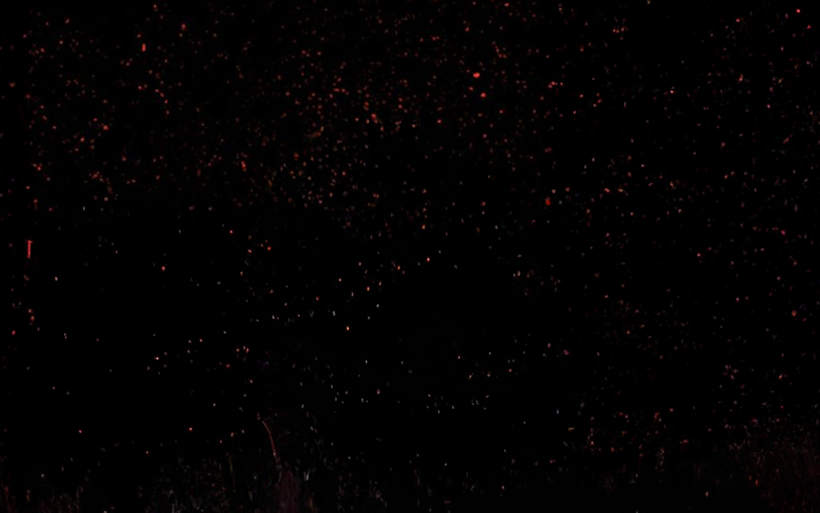 Official The Last Ronin image tied to the revenge story